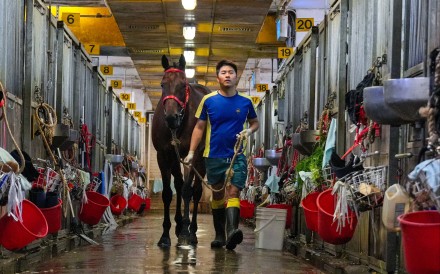 Henry Chan, a stable assistant who works with Romantic Warrior under trainer Danny Shum, helps with the daily training of horses at Sha Tin. Photo: May Tse