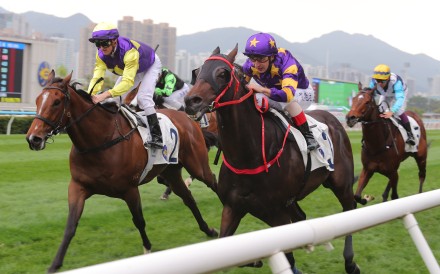 Stellar Express (near) wins at Sha Tin. Photos: Kenneth Chan