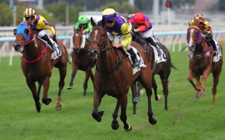 Colourful King wins up the Sha Tin straight in November. Photos: Kenneth Chan