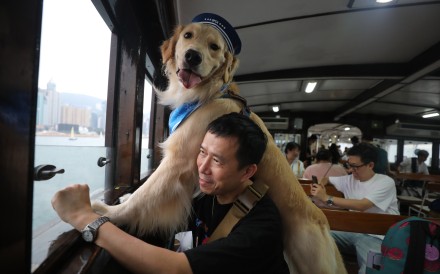 A total of 249 people and 142 dogs cross Victoria Harbour in April 2023 on a trip organised by the Society for the Prevention of Cruelty to Animals (Hong Kong) and Star Ferry. Photo: Xiaomei Chen