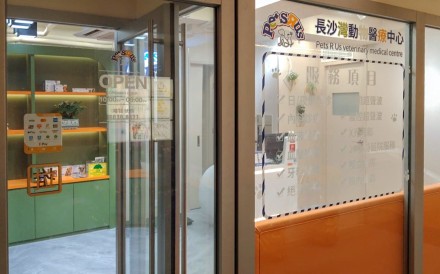The cat was brought to Pets R Us Veterinary Medical Centre in Cheung Sha Wan. Photo: Pets R Us Veterinary Medical Centre.