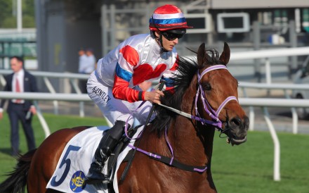 Devas Twelve and Harry Bentley score at Sha Tin. Photos: Kenneth Chan
