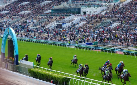 Sunday’s Sha Tin race meeting has been cancelled. Photo: Sam Tsang