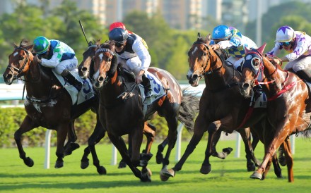 Luke Ferraris lifts Invincible Ibis (centre) to victory in the Celebration Cup. Photos: Kenneth Chan