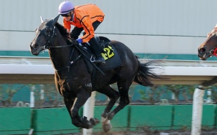 Simply Spectacular trials strongly under Zac Purton at Sha Tin earlier this season. Photos: Kenneth Chan