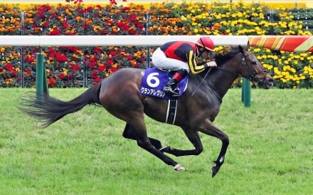 Star Japanese galloper Gran Alegria. Photo: JRA
