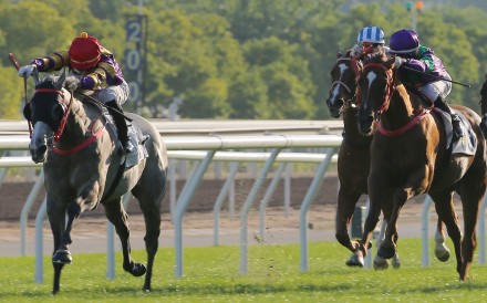 Vagner Borges drives Silver Express to victory in the Class One Chevalier Cup at Sha Tin on Sunday. Photos: Kenneth Chan