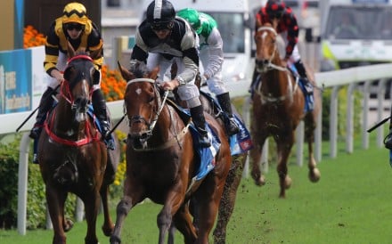 Get all the information you need about this year's four Group Ones and hear Hong Kong's biggest names discuss the chances of their superstars.