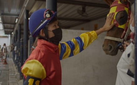 Hundreds of people who work in Thailand's horse-racing industry have been barely scraping by since the start of the Covid-19 pandemic. Races were suspended as authorities moved to curb the spread...