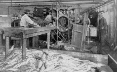 Chinese built the US salmon canning industry. ‘Iron Chink’ invention robbed them of their jobs – and insulted their ethnicity to boot