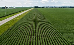 Chinese customs data showed that between October 2018 and March 2019, China bought just 2.7 million metric tonnes of US soybeans. Photo: Bloomberg