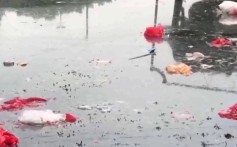 Pollution alarm as tourism businesses contaminate home of China’s hairy crab