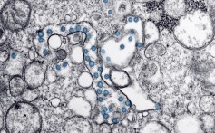 David Ho, the man who tamed Aids, in race to find coronavirus vaccine