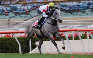 Zac Purton trials Classique Legend for the first time at Sha Tin on Tuesday morning. Photos: Kenneth Chan