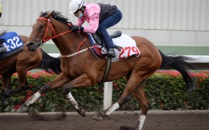 Beauty Fit trials at Sha Tin earlier this month. Photos: Kenneth Chan