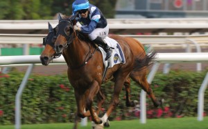 Jerry Chau punches Duke Wai out to victory at Sha Tin on Sunday. Photos: Kenneth Chan 