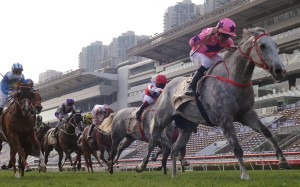 Joao Moreira guides Hot King Prawn to victory in the Group One Centenary Sprint Cup. Photo: Kenneth Chan