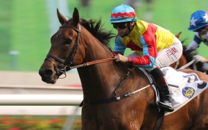 Alexis Badel guides Wellington to victory at Sha Tin last start. Photos: Kenneth Chan