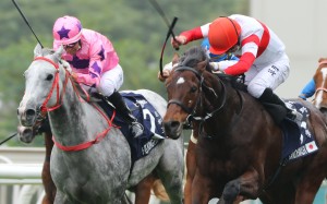 Danon Smash is punched out to victory by Englishman Ryan Moore in December’s Hong Kong Sprint. Photos: Kenneth Chan
