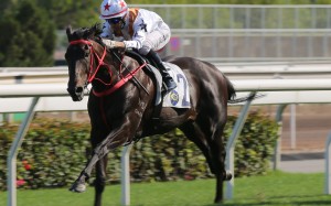 Joao Moreira guides Courier Wonder to victory at Sha Tin. Photos: Kenneth Chan 