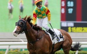 Neil Callan celebrates Mighty Giant’s Group Two victory at Sha Tin last week. Photos: Kenneth Chan 