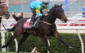 Blake Shinn partners Shenron in a recent trial. Photos: Kenneth Chan