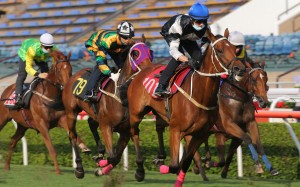 Exultant (black and white silks) leads home stablemate Furore (blue, yellow and green) in a trial at Sha Tin on Tuesday morning. Photos: Kenneth Chan
