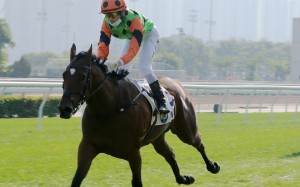 Carroll Street coasts to victory under apprentice Jerry Chau in December. Photos: Kenneth Chan 