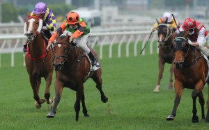 Vincent Ho goes for home on Carroll Street to win at Sha Tin on Saturday. Photos: Kenneth Chan 