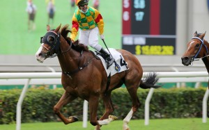 Neil Callan celebrates his most recent win, a Group Two aboard Mighty Giant on April 5. Photos: Kenneth Chan