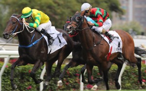 Russian Emperor (outside) is just beaten by Sky Darci in the Hong Kong Derby in March. Photos: Kenneth Chan 
