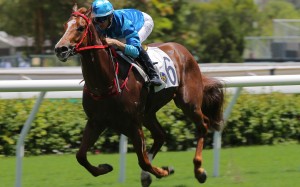 Joao Moreira guides Master Eight to victory at Sha Tin. Photos: Kenneth Chan