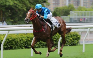 Joao Moreira urges Master Eight home at Sha Tin on Sunday. Photos: Kenneth Chan.
