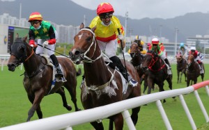Neil Callan celebrates as California Spangle salutes on debut. Photos: Kenneth Chan.