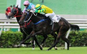 Sky Darci (outside) pips Healthy Happy in the Lion Rock Trophy last month. Photos: Kenneth Chan