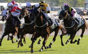 Flying Quest wins at Sha Tin under Matthew Poon last December. Photos: Kenneth Chan
