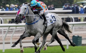 Joao Moreira drives Senor Toba to victory at Sha Tin on Monday. Photos: Kenneth Chan