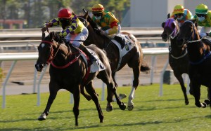 Karis Teetan and Champion’s Way win last year’s Chinese Club Challenge Cup. Photo: Kenneth Chan