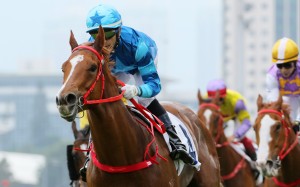 Master Eight makes it four on the trot last start. Photo: Kenneth Chan