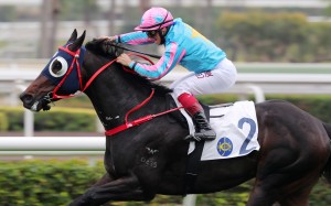 Alexis Badel urges Healthy Happy to victory in the Group Three Chinese Club Challenge Cup at Sha Tin on Saturday. Photos: Kenneth Chan