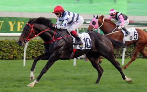 Packing Victory delivers the goods under Alexis Badel. Photos: Kenneth Chan