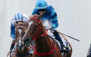 Joao Moreira guides Master Eight to victory in the Group Three Bauhinia Sprint Trophy at Sha Tin on Saturday. Photos: Kenneth Chan