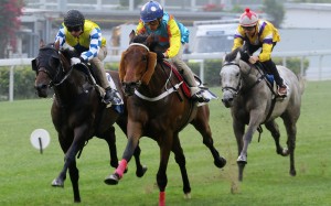 Vincent Ho wins a Happy Valley barrier trial on Ka Ying Star in April 2019. Photo: Kenneth Chan