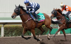 Vincent Ho trials The Irishman at Sha Tin last week. Photo: Kenneth Chan