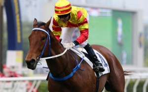 Joao Moreira notches another winner at Sha Tin last month. Photos: Kenneth Chan