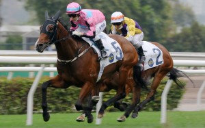 Matthew Chadwick guides Beluga to victory at Sha Tin on Sunday. Photos: Kenneth Chan
