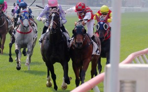Alcari and Metro Warrior clash at Sha Tin on Sunday. Photos: Kenneth Chan