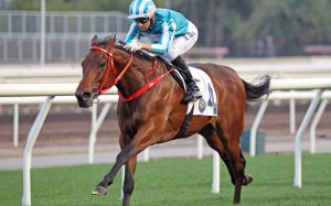 Joao Moreira guides Romantic Warrior to victory at Sha Tin on Sunday.