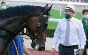 David Hayes and Fantastic Treasure. Photo: Kenneth Chan