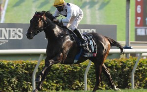 Golden Sixty wins last month’s Hong Kong Mile. Photos: Kenneth Chan
